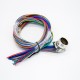 M23 Cable 19Pin Male Waterproof Socket High Flexibility Wiring Harness For Industrial Robot Shield With 75CM 20AWG Wire